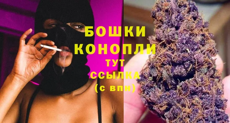 Канабис SATIVA & INDICA  блэк спрут вход  Тосно  закладка 